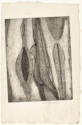 louise bourgeois. les mullesques (mollusks), state iii. (c. 1948)