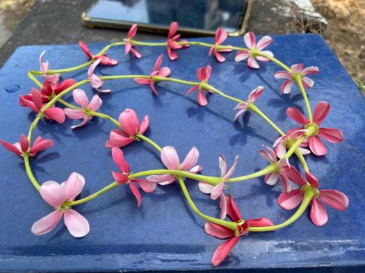 WhatsApp Image 2020-03-26 at 12.47.08